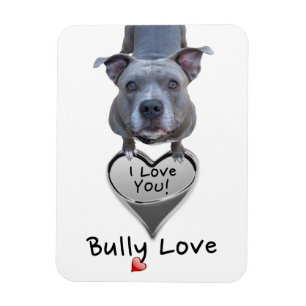 Imán Pitbull Bully Love Magnet