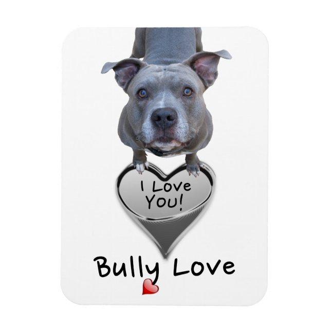 Imán Pitbull Bully Love Magnet (Vertical)