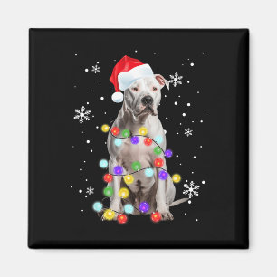Imán Pitbull Dog Merry Dogmas Santa Pitbull Navidades T