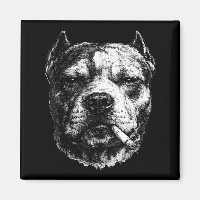 Imán Pitbull fumando, divertido meme de perro fumando c (Frente)