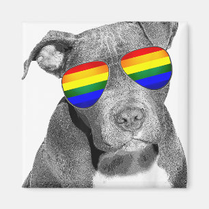 Imán Pitbull Gay Pride Ropa de Perro LGBT Graciosa Rega
