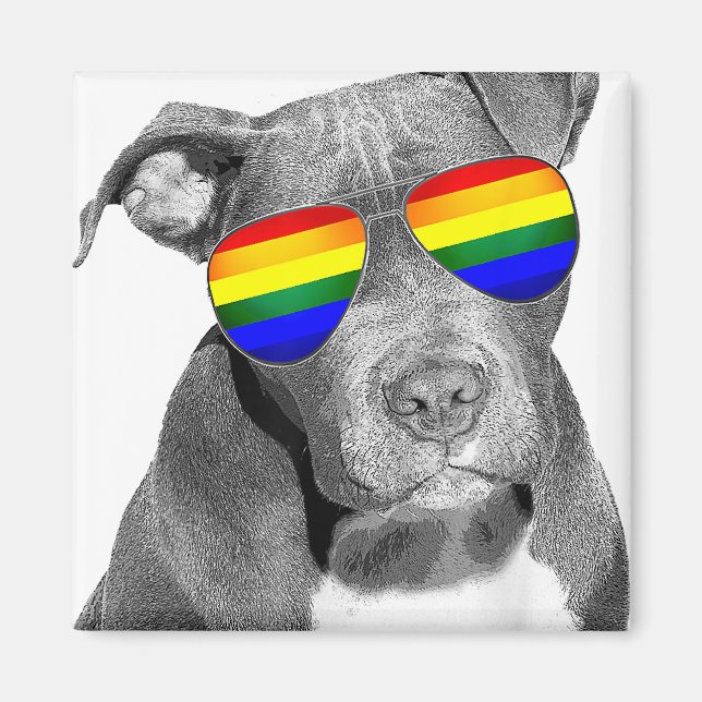 Imán Pitbull Gay Pride Ropa de Perro LGBT Graciosa Rega (Frente)