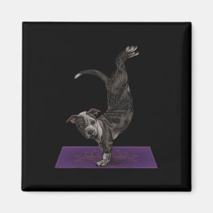 Imán Pitbull haciendo yoga meditación zen namaste perro