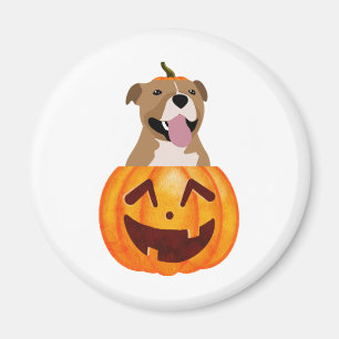 Imán Pitbull Halloween