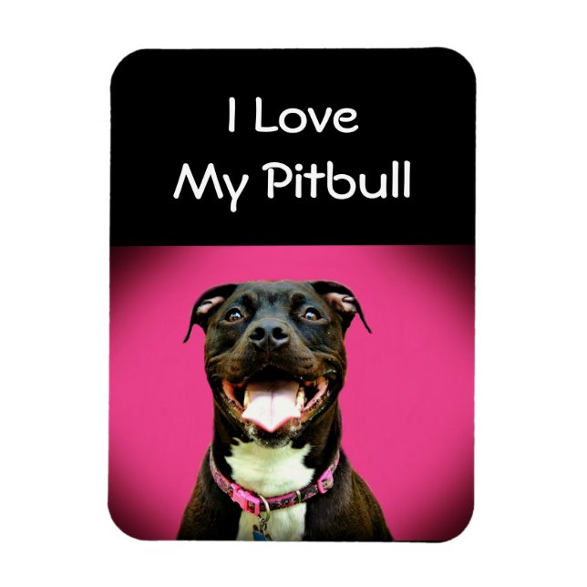 Imán Pitbull Love (Vertical)