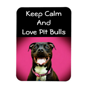 Imán Pitbull Love Photo Magnet