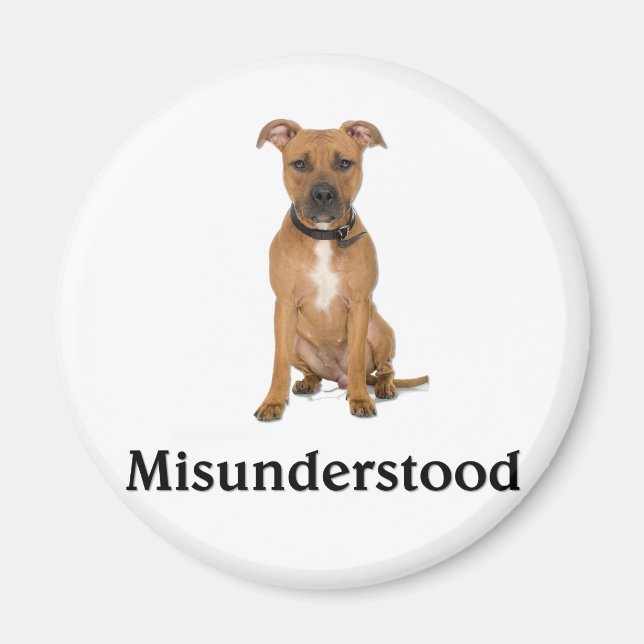 Imán Pitbull - Malentendido (Frente)