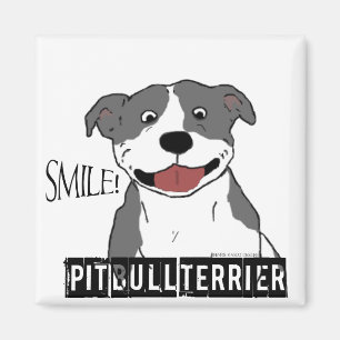 Imán Pitbull sonriente (azul y blanco)