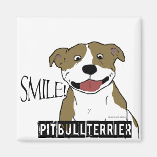 Imán Pitbull sonriente (moreno y blanco)