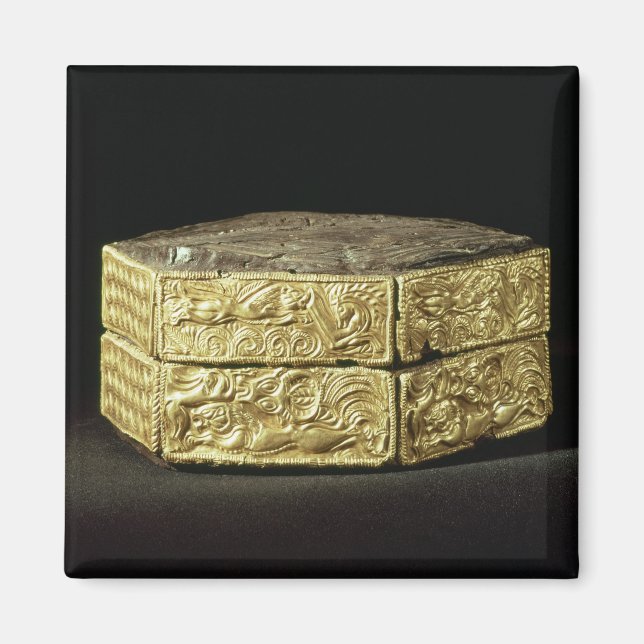 Imán Pixis hexagonal decorada con animales (Frente)