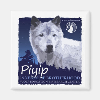 Imán Piyip Magnet
