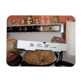 Imán Pizza Blanket de Leo