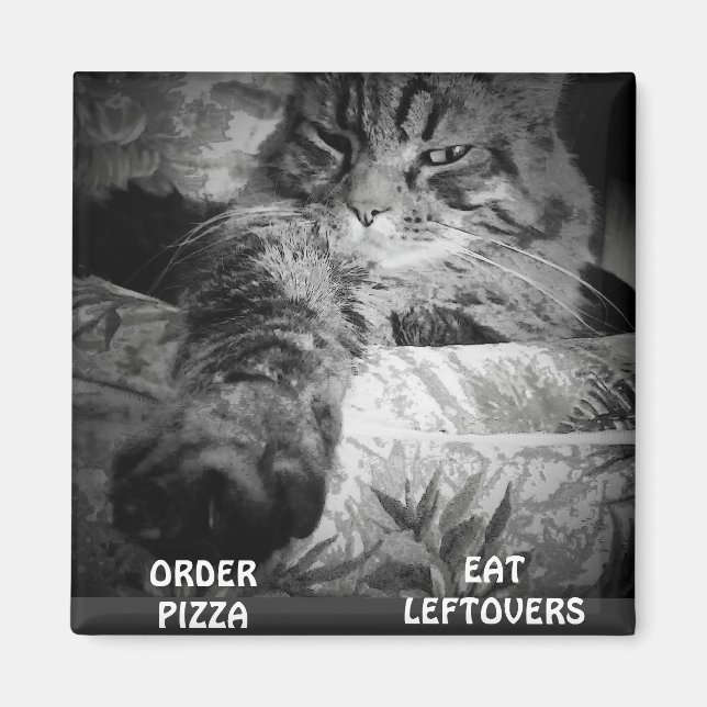 IMÁN ¿PIZZA O IZQUIERDAS? (Frente)