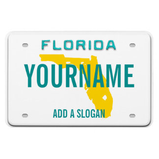 Imán Placa de licencia de Florida (personalizada)