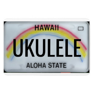 Imán Placa de licencia Rainbow de Hawaii flexible