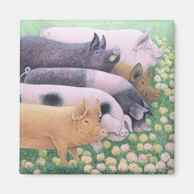 Imán Placer (Frente)