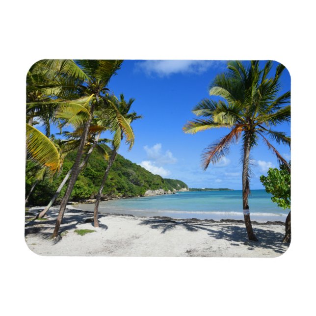 Imán plage de guadeloupe (Horizontal)