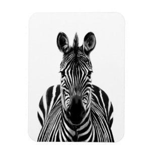 Imán Plan de respaldo III