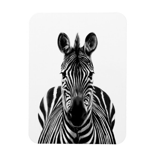 Imán Plan de respaldo III (Vertical)