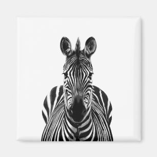 Imán Plan de respaldo III