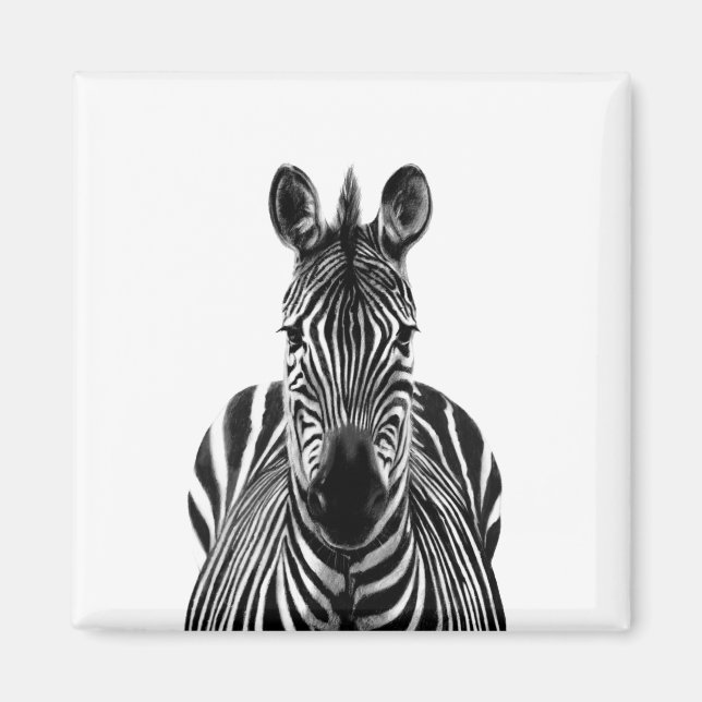 Imán Plan de respaldo III (Frente)