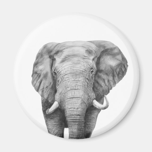 Imán Plan de respaldo IV (Frente)