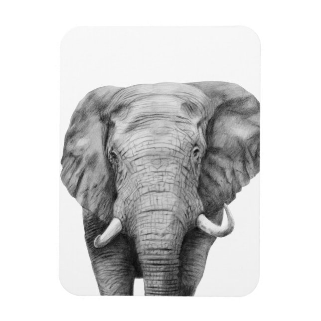 Imán Plan de respaldo IV (Vertical)