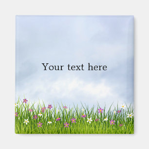 Imán Planilla, cielo azul y flores de verano,