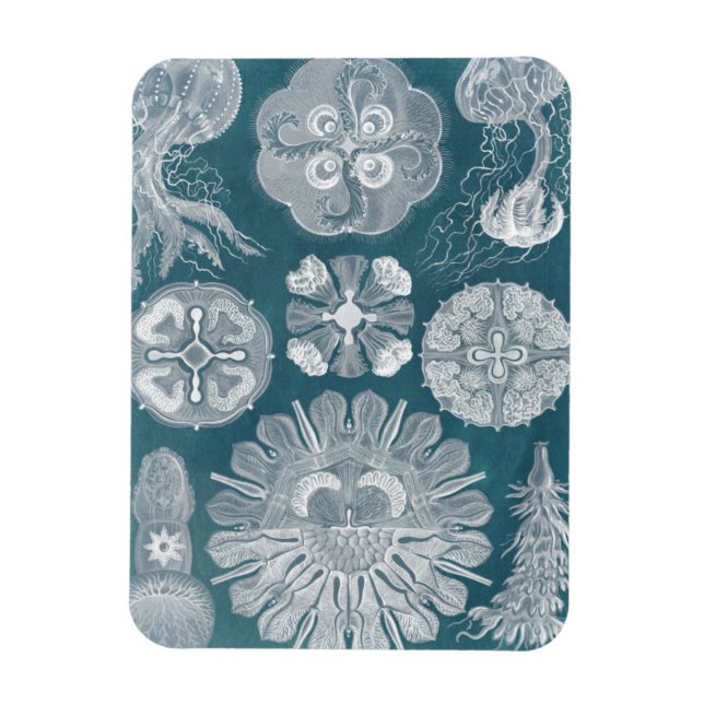 Imán Plano Azul marino IV (Vertical)