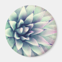Planta Agave