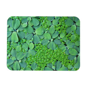 Imán Planta de agua