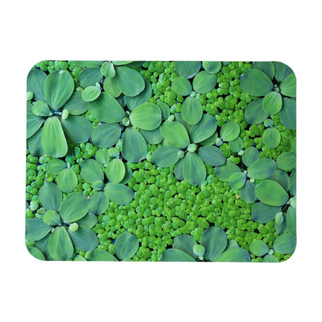 Imán Planta de agua (Horizontal)