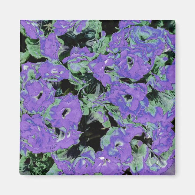 Imán Planta de Kalanchoe Púrpura ilustracion (Frente)