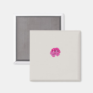 Imán planta, flor, pétalo, rosa, magenta, fuente, patró