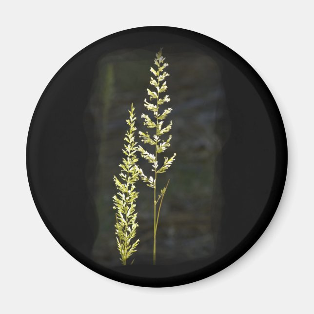 Imán Planta Verde (Frente)