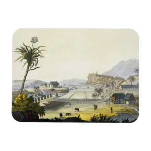 Imán Plantación del azúcar, Antillas (grabado del