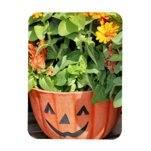 Imán Plantador de caída