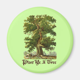 Imán Plantar Ye Un Lema Verde De Árbol