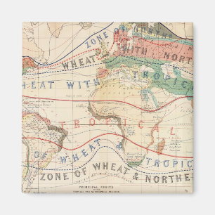 Imán Plantas de distribución