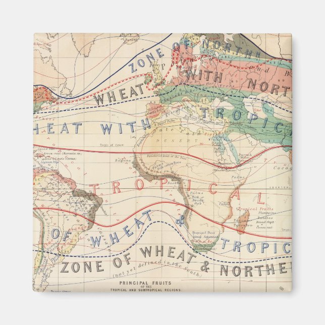 Imán Plantas de distribución (Frente)