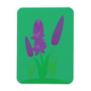 Imán Plantas de lavanda