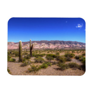 Imán Plantas del cactus de Salta la Argentina y colina