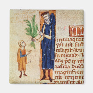 Imán Plantas medicinales