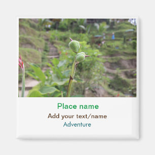 Imán Plantas naturales fotografía nombre de viaje en ag