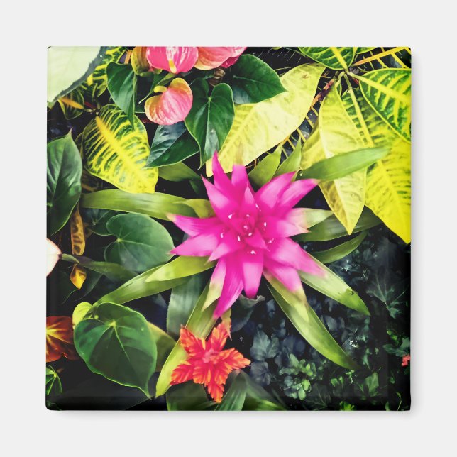 Imán Plantas tropicales (Frente)