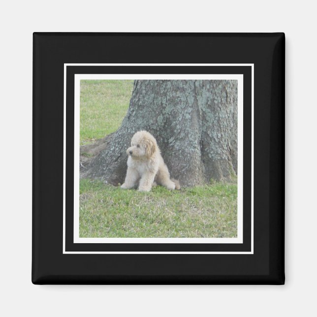 Imán Plantilla de Foto Personalizada Blanco y Negro Ver (Frente)