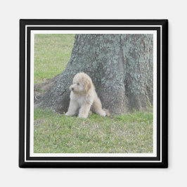 Imán Plantilla de Foto Personalizada Blanco y Negro Ver