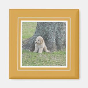 Imán Plantilla de foto personalizada dorado amarillo y 