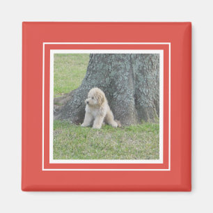 Imán Plantilla de Foto Personalizada Moderna Simple y E