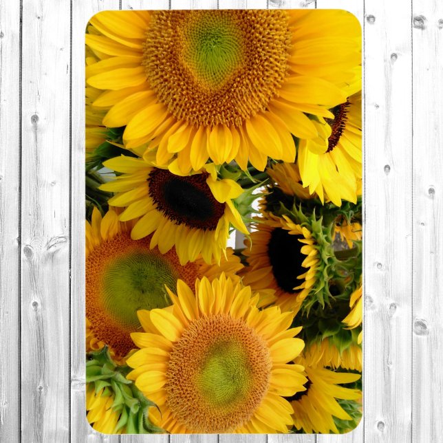 Imán Plantilla de fotografía del refrigerador Magnet 4  (Subido por el creador)
